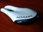 adamo2.JPG