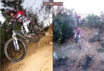 P4bis Collserola 2.jpg