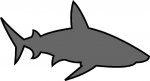 silueta-tiburon.jpg