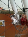 IMG_20120222_125611.jpg