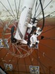 IMG_20120222_125723.jpg