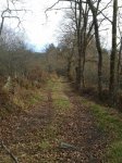 2012-02-22 16.57.24.jpg
