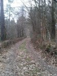 2012-02-22 17.24.01.jpg