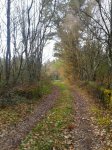 2012-02-22 17.24.16.jpg