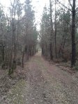 2012-02-22 17.47.08.jpg