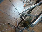 2012-02-23 09.48.35.jpg