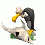 vulture.gif