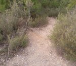 Foto0611.jpg