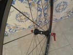 2012-02-22 17.02.35.jpg