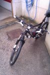 IMAG0003.jpg
