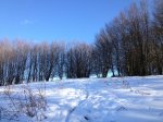 IMG_0072.jpg
