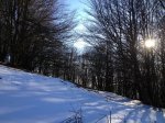 IMG_0073.jpg