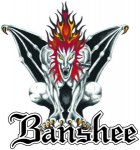 bansheelogo.jpg