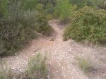 Foto0618.jpg