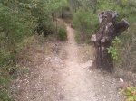 Foto0619.jpg