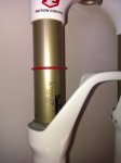 IMAG0459.jpg