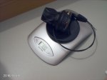 2010110905.JPG