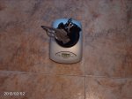 2012020202.JPG