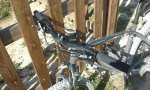 IMG_20120225_124124.jpg