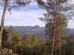250220124273_1024x768.jpg
