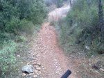 250220124276_1024x768.jpg
