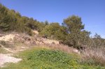 IMAG0447.jpg
