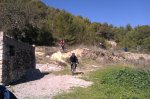 IMAG0450.jpg