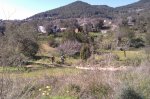 IMAG0452.jpg
