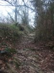 DSCF1142_450x600.jpg