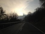 IMG_0081.jpg