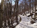 IMG_0089.jpg