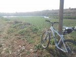 2012-02-26 10.30.56_small.jpg