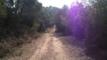 DSC01016.JPG