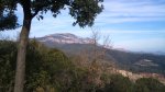 DSC01019.JPG