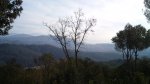 DSC01020.JPG