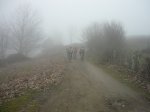 P1020637.JPG
