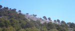 DSCN3984.JPG