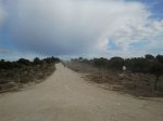 2012-02-26 10.32.06_resize_resize.jpg