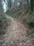 IMG-20120226-00011.jpg