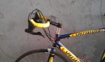 IMAG0203.jpg