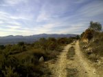 IMG-20120225-02462.jpg