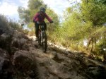 IMG-20120226-00319WWW.jpg