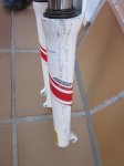 horqui3.jpg