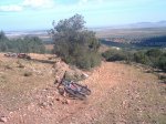 IMAG0063.JPG