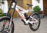 Massi Toro DH 3.JPG