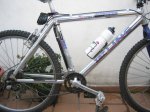 ixusdic2006003.jpg