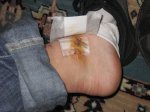 IMG_2263.jpg