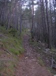 lleida3.jpg