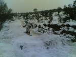 nieve 053.jpg