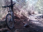 IMG_20120225_115058.jpg